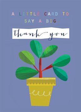 A lovely card to say a big thank you! This card features a lovely leafy house plant and lovely colourful lettering against a cornflower blue background.
