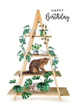 We all know a crazy cat lady, but how about a crazy plant lady, or both? Celebrate your friends birthday with this unusual plant cat card. Designed by Hot Dog Greetings.