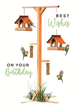 Send birthday wishes with this traditional yet modern bird feeder card. Designed by Hot Dog Greetings.