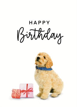 Have a pawsome birthday! Designed by Hot Dog Greetings.