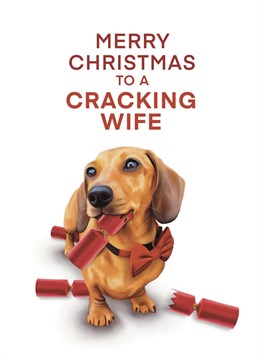 Have A Cracking Christmas to my Wife Dachshund card. Celebrate Christmas with this adorable Sausage Dog Christmas Card, to make her smile. Designed by Hot Dog greetings.