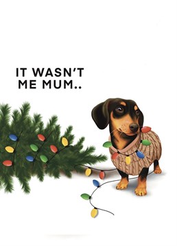 Celebrate Christmas with this Naughty Christmas Sausage Dog Card, perfect for mum! Designed by Hot Dog greetings.