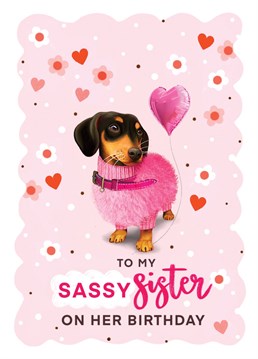 Wish that Sassy Sister a fantastic Birthday with this gorgeously pink Dachshund Card. Designed by Hot Dog greetings.