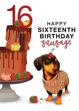 Happy Sixteenth Birthday sausage! Celebrate with this cheeky Dachshund 16th Birthday Card. Designed by Hot Dog greetings.