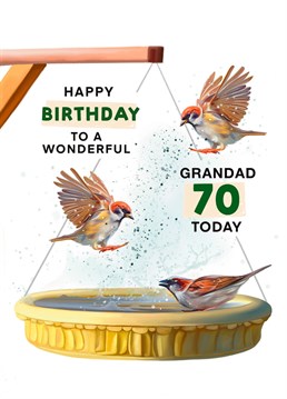 Make your Grandad Smile on his 70th Birthday with this Garden Bird Sparrow inspired Birthday Card. Designed by Hot Dog greetings.