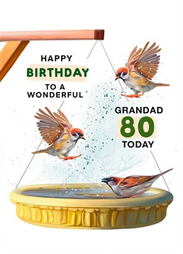 Make your Grandad Smile on his 80th Birthday with this Garden Bird Sparrow inspired Birthday Card. Designed by Hot Dog greetings.