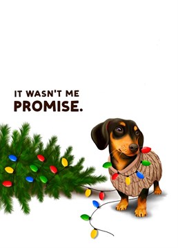 Send a smile this Christmas with this naughty Dachshund Christmas card. Designed by Hot Dog greetings.