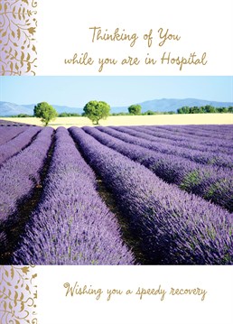 Is there anything more calming than lavender? Maybe a whole field of it! Let them know you're rooting for them with this lovely get well card by Ling Design.