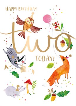 Wish a little lady a hoot on her 2nd birthday with all her forest friends on this Ling Design card.