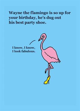 They will feel fabulous like a flamingo with this Birthday card from Lucilla Lavender.