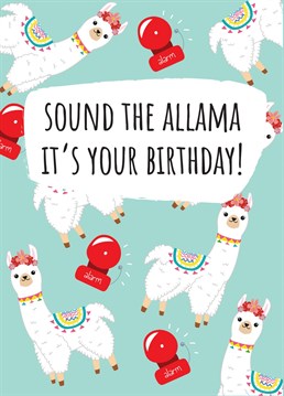 Sound the allama!!! It's someone's birthday!