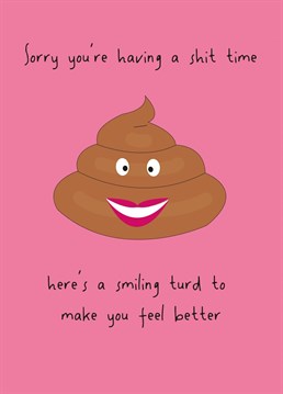 What better way to brighten someones day than with a smiling turd eh?