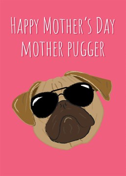 Wish a happy Mother's Day to a mum who's a pug lovin' cool mom