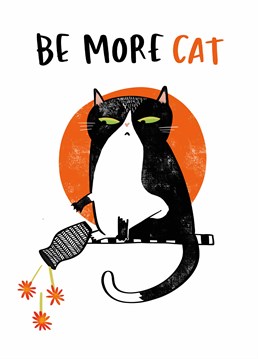 Be sassy, independent, and generally don't give a f*ck. Cats FTW. Designed by Lucy Maggie.