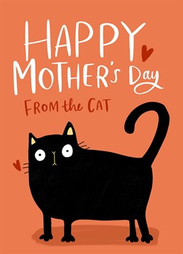 So what if the cat needs a bit of help buying it, he picked this one for you specially! Mother's Day design by Lucy Maggie.