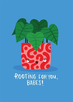 This cute card featuring a plant pot with a cute little smiling face and the words of encouragement 'rooting for you babes' is perfect for sending a smile and positive vibes to a best friend or sister. Let plant lovers know that know you are thinking of them and that you truly have their back with this pothos card.