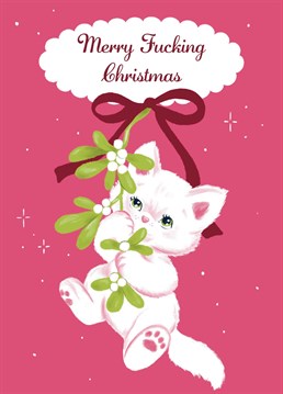 Our cute but fierce cat is ready to celebrate the festive season, although she's being a little naughty by swinging in on some mistletoe.