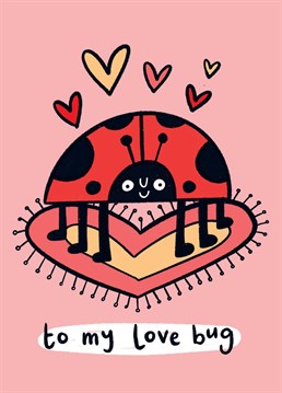 This cute ladybird card is a sweet way of showing that special someone how much you love them this Valentine's Day. This ladybird is happy faced and surrounded by hearts, with the simple pun beneath it: 'To my love bug'.