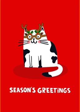 How adorable is this little white cat in Christmas tree Christmas glasses? All dolled up and ready for the Christmas Party! Send a smile this festive season with this humorous animal card.