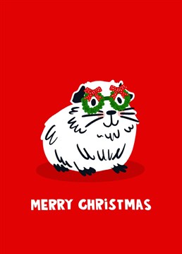 How adorable is this little white guinea pig in Christmas tree Christmas glasses? All dolled up and ready for the Christmas Party! Send a smile this festive season with this humorous animal card.