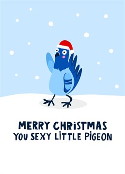 This funny card features a pigeon in a sexy santa claus hat walking through a snow storm. It's perfect for sending a unique festive message this holiday season.