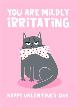This funny Valentine's Card is perfect for your loved one who loves cats and isn't into the soppiness that Valentine's Day brings. Keep them humble with this card displaying a grumpy cat and the text 'You Are Mildly Irritating'.