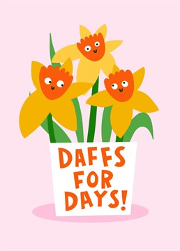 Spring has Sprung! Celebrate with this bright and cheery 'Daffs for Days' Card - Perfect for Easter time.