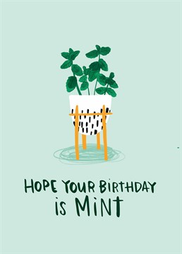 Send a friend this seriously fresh birthday card with a pun-derful design by Lucy Maggie.
