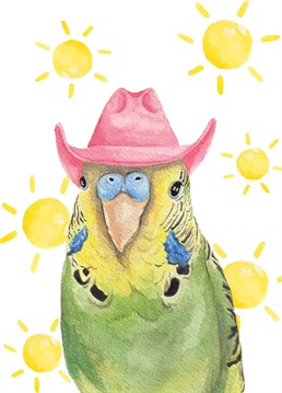 A bird in a cowboy hat?! Well I never... This unique lil wabbit design is totally blank making it perfect for any and every occasion.