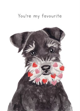 Tell someone they are your favourite with this dashing schnauzer card designed lovingly by lil wabbit.