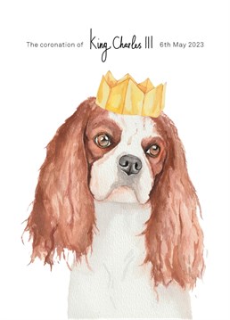 A new king is crowned! Celebrate in royal style with this King Charles Spaniel card designed by lil wabbit.