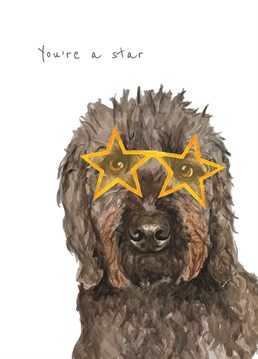 This groovy Labradoodle is here to tell someone you know that they are a STAR! Designed with love by lil wabbit