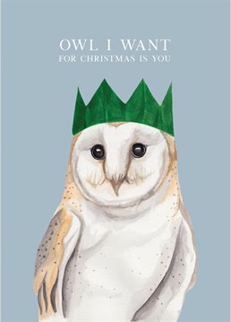 Celebrate your favourite person this Christmas with this punny Owl card! Designed lovingly by lil wabbit.
