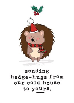 This super cute Christmas card featuring an adorable hedgehog reads: 'Sending hedge-hugs from our cold, house to yours'. and is guaranteed to make the recipient smile! Designed by Mrs Best Paper Co.