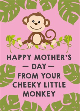 If you're still a cheeky little monkey after all these years then maybe this is the perfect Scribbler Mother's Day card for you.