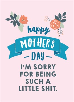 This Mother's Day card by Scribbler is the one of the best ways to say 'I'm sorry for being a little shit when I was young'.&nbsp; Maybe you still are!&nbsp; Funny Mother's Day card by Scribbler.