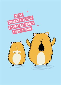 We just found out that hamster mothers have been known to chow down on their newborn children and it's officially shaken us to our core. Mother's Day design by Scribbler.
