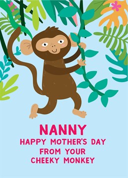 Make sure Nanny isn't forgotten on Mother's Day! Send her this adorable Scribbler card and she'll be cracking a smile.
