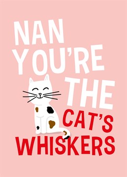 Make sure your nan's feline the love on Mother's Day by sending her this totally purrfect card by Scribbler.
