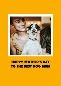 Help Fido upload an adorable photo to this Mother's Day card and show his love for his amazing dog mum! Designed by Scribbler.