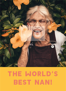 We've found the world's best nan and lucky you - she's yours! Make her day by sending this photo upload Birthday card by Scribbler.