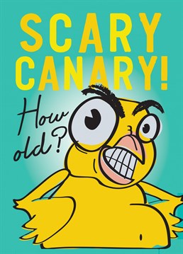Scary Canary has a question for you on your birthday! How rude!