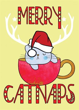 Cute kitty cat design with Merry Catnips to wish the cat lover in your life a Happy Xmas.
