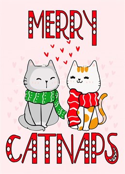 Cute design with two kitty cats in love with the message Merry Catnaps to wish to cat lover in your life a happy.