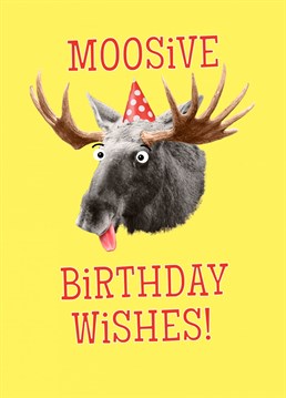 'Moosive Birthday Wishes!' A funny punny animal Pink Wink card with a moose on it. What more could anyone want on their Birthday?