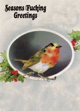 Send this chirpy looking robin Christmas card, to show them how much you care!