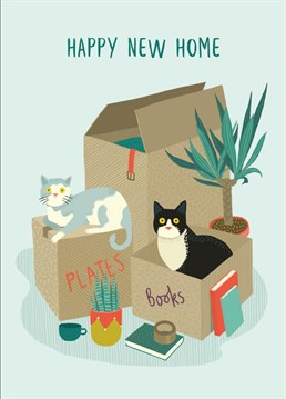 For all those people whose cats have made moving house harder than it needed to be! Send this cute New Home card, designed by Middle Mouse.