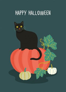 Wish them a spooky time with this cute Halloween card featuring a very cheeky cat guarding a giant pumpkin. Designed by Middle Mouse.