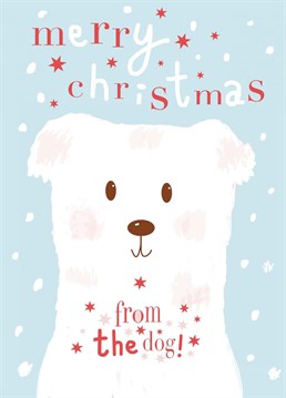 Merry Christmas - From The Dog Card. Send your friend this Cute Christmas card.