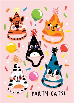 A CUTE PLAY ON WORDS BIRTHDAY CARD FEATURING CATS!!